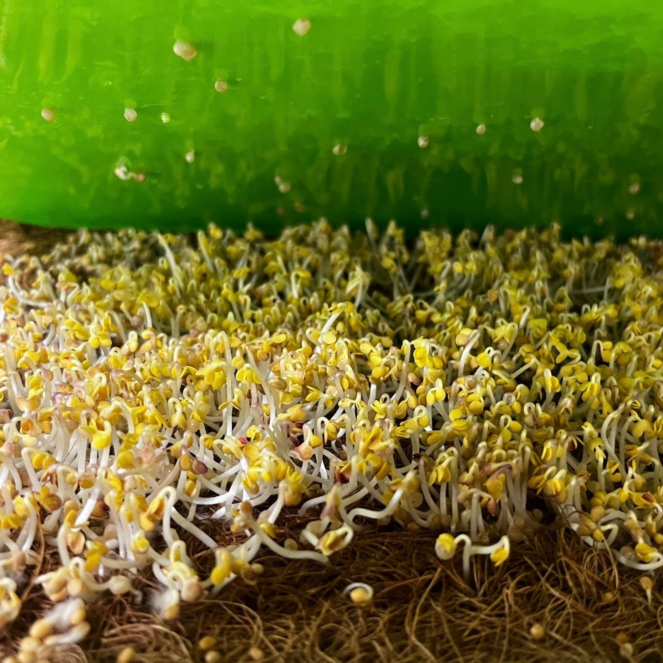 dbe2fa51-7222-4f14-b972-aedc20ce621b